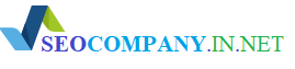 SEO-COMPANY-INDIA